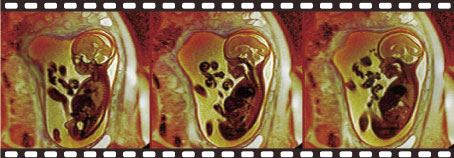 pub_vg_2010-08_pic2.jpg pub_vg_2010-08_pic2.jpg