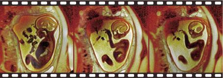 pub_vg_2010-08_pic3.jpg pub_vg_2010-08_pic3.jpg